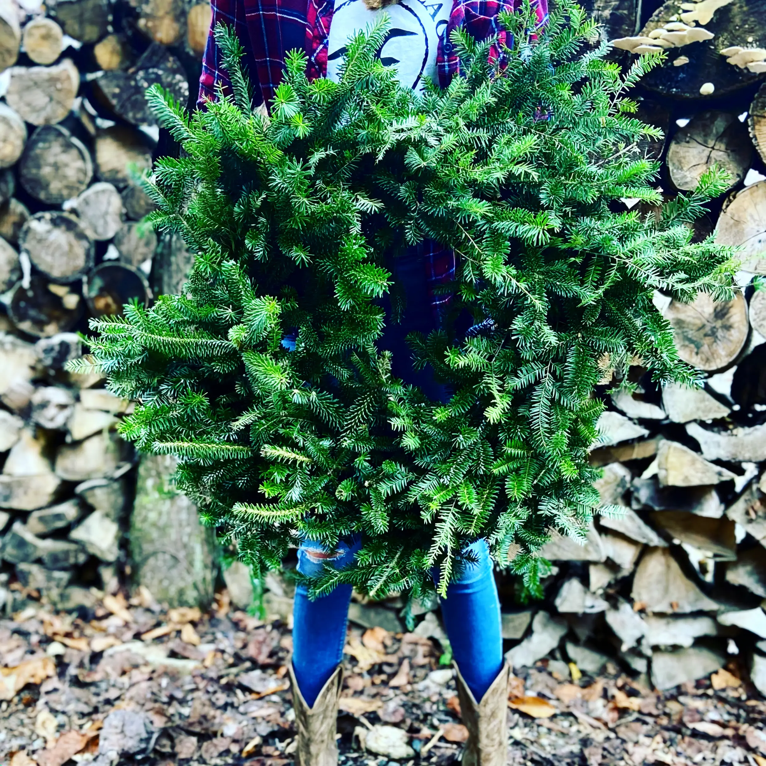 2026 Christmas Wreath